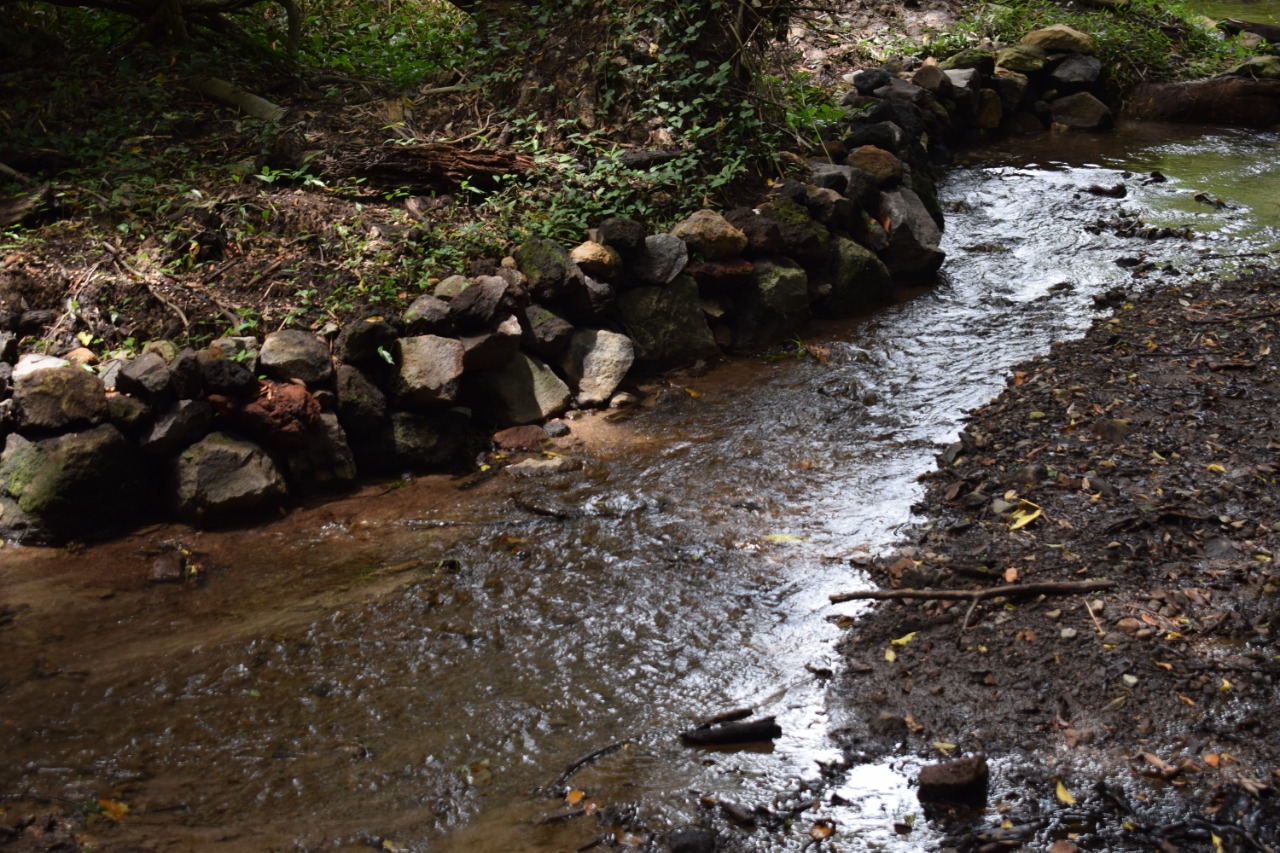 aguas-agrias